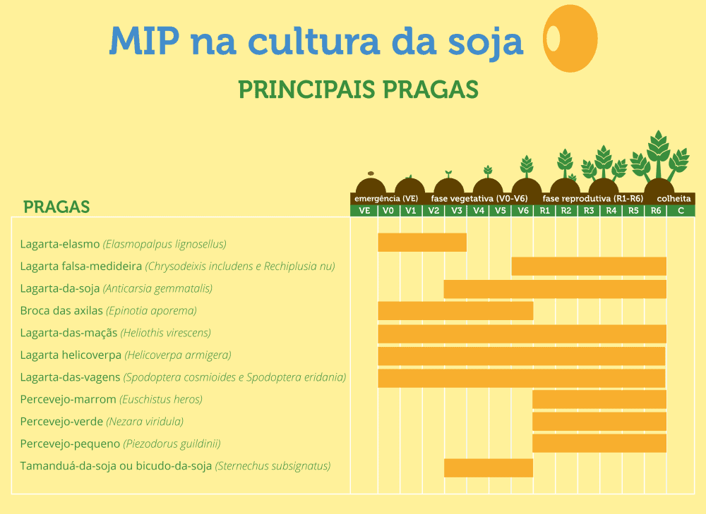 MIP na Soja: Calendário das Principais Pragas da Cultura infográfico educacional intitulado ‘MIP na cultura da soja: PRINCIPAIS PRAGAS’, projetado para orientar agricul