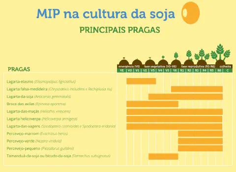 infográfico educacional intitulado 'MIP na cultura da soja: PRINCIPAIS PRAGAS', projetado para orientar agricul