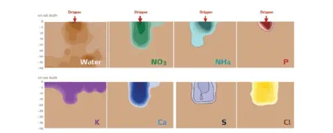 Este infográfico educacional ilustra a mobilidade e distribuição de água e sete nutrientes essenciais no perfil do solo quand