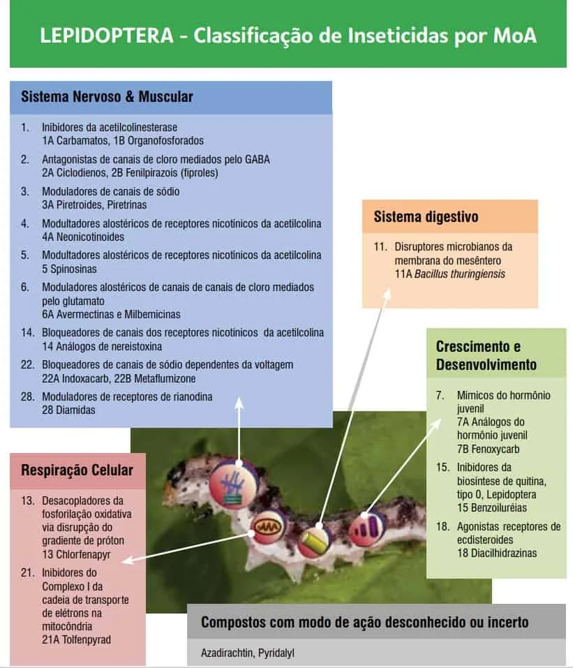 infográfico técnico e educacional que detalha a classificação de inseticidas para o controle de Lepidoptera (la
