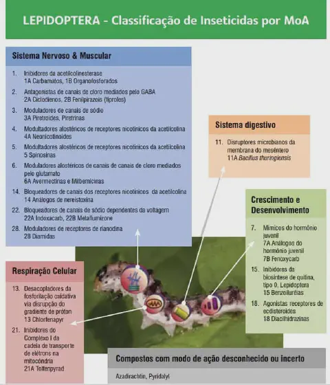 infográfico técnico e educacional que detalha a classificação de inseticidas para o controle de Lepidoptera (la