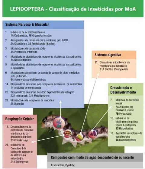 infográfico técnico e educacional que detalha a classificação de inseticidas para o controle de Lepidoptera (la