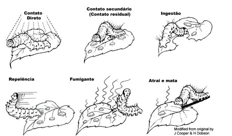 Esta imagem é um infográfico educacional em preto e branco que ilustra os seis principais modos de ação de inseticidas e defe