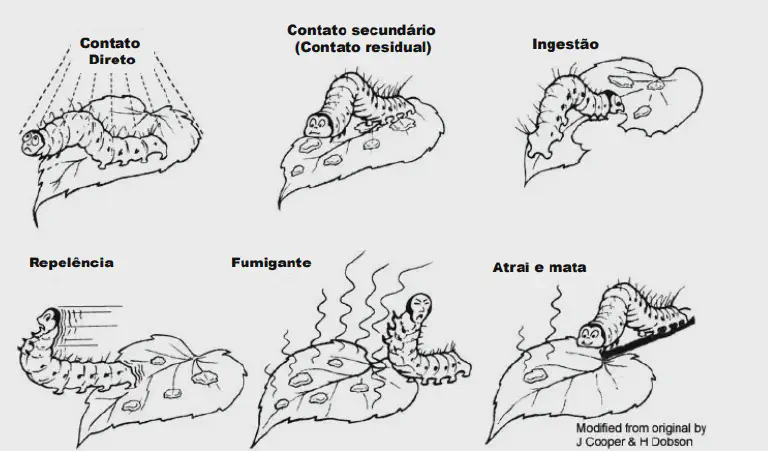 Modos de Ação de Inseticidas: Como Agem Contra Pragas Esta imagem é um infográfico educacional em preto e branco que ilustra os seis principais modos de ação de inseticidas e defe