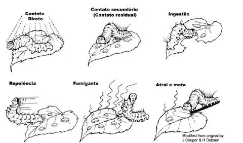 Esta imagem é um infográfico educacional em preto e branco que ilustra os seis principais modos de ação de inseticidas e defe