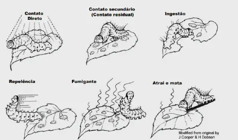 Esta imagem é um infográfico educacional em preto e branco que ilustra os seis principais modos de ação de inseticidas e defe