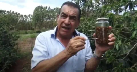 agricultor ou agrônomo experiente, em pé em uma lavoura de café. Ele segura um pote de vidro transparente