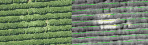 uma comparação lado a lado de uma lavoura vista de cima. À esquerda, uma fotografia aérea convencional mostra