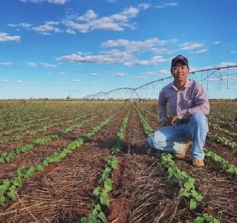 jovem agricultor de ascendência asiática, agachado em uma lavoura em estágio inicial de desenvolvimento