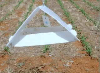 uma armadilha do tipo delta, de cor branca, suspensa sobre uma lavoura em estágio inicial. O campo é caracteri