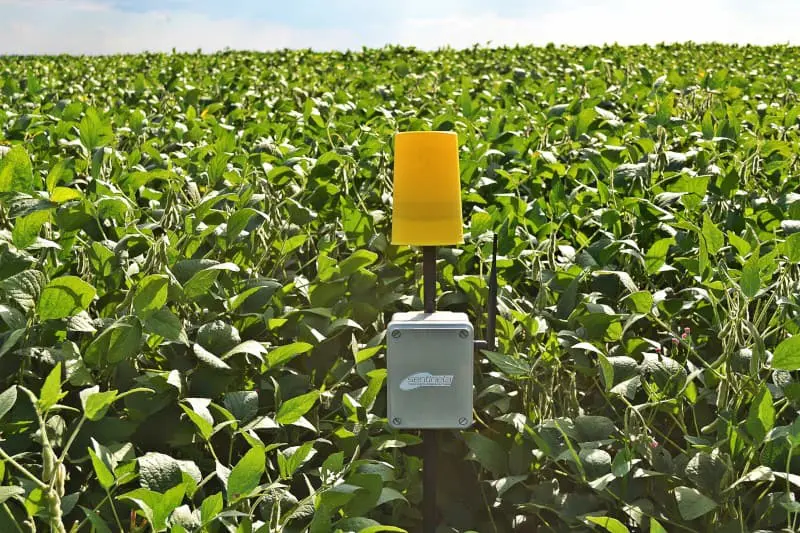 Monitoramento de Pragas na Soja com Tecnologia de Precisão dispositivo de monitoramento agrícola, possivelmente uma armadilha inteligente para pragas, instalado no me
