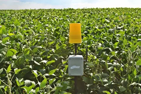 dispositivo de monitoramento agrícola, possivelmente uma armadilha inteligente para pragas, instalado no me