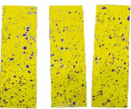 três armadilhas adesivas amarelas, dispostas verticalmente lado a lado sobre um fundo branco. As superfícies d