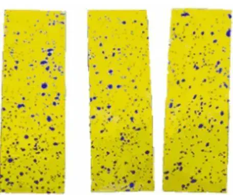 três armadilhas adesivas amarelas, dispostas verticalmente lado a lado sobre um fundo branco. As superfícies d