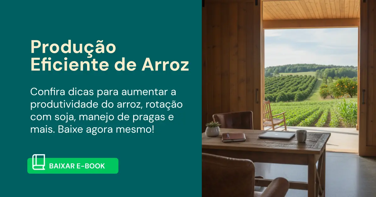 Produção Eficiente de Arroz