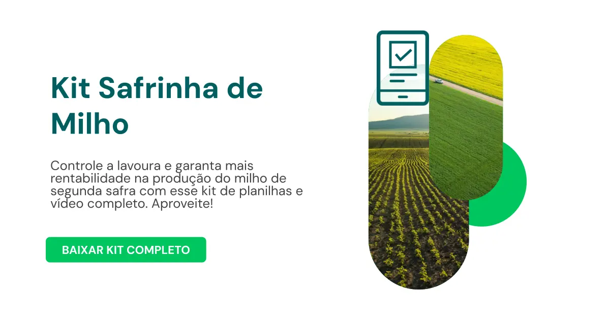Kit Safrinha de Milho