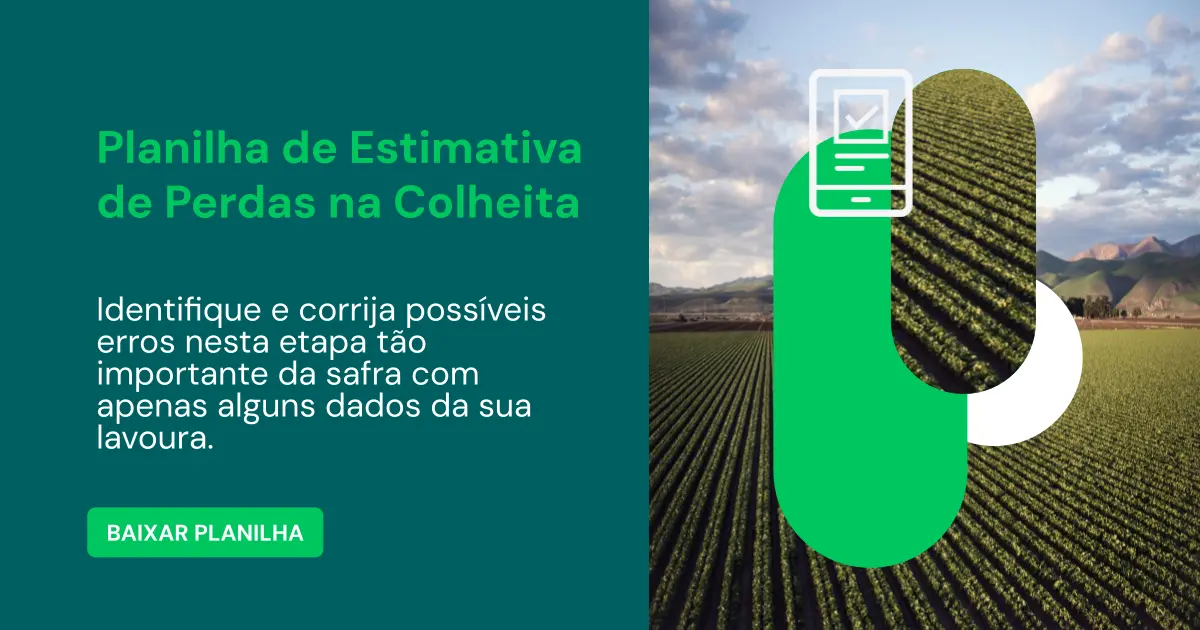 Planilha de Estimativa de Perdas na Colheita