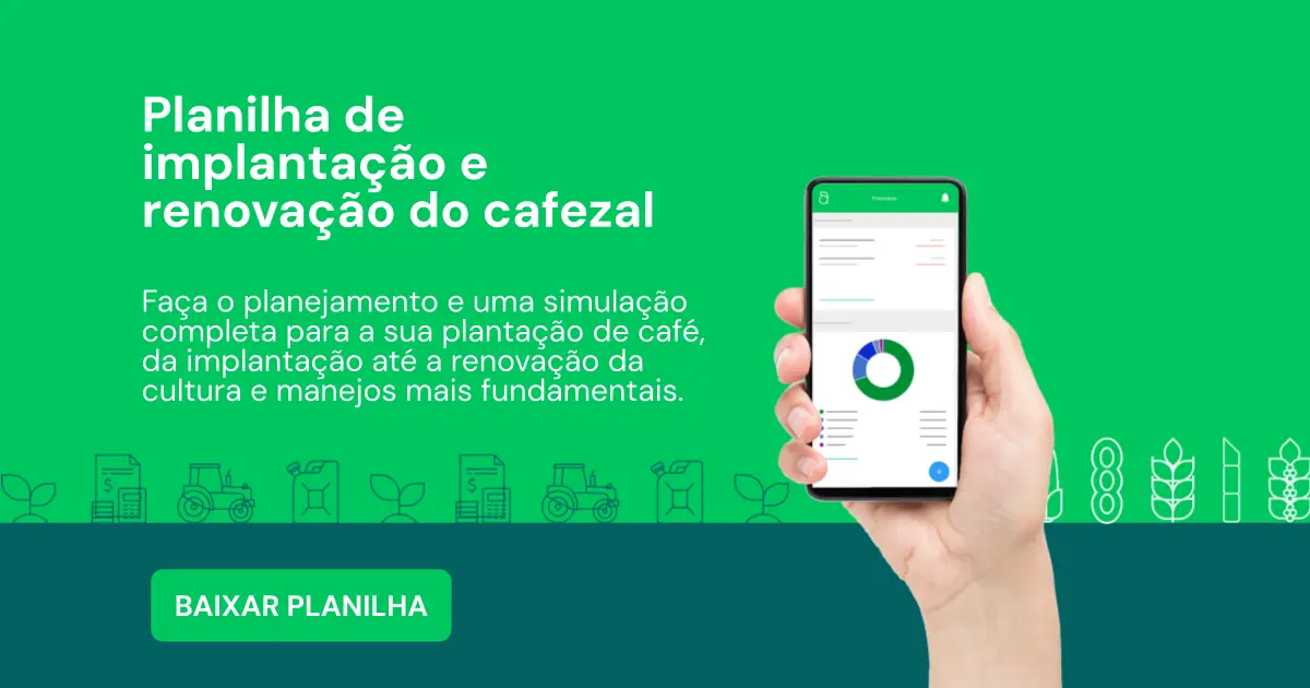 Planilha de implantação e renovação do cafezal