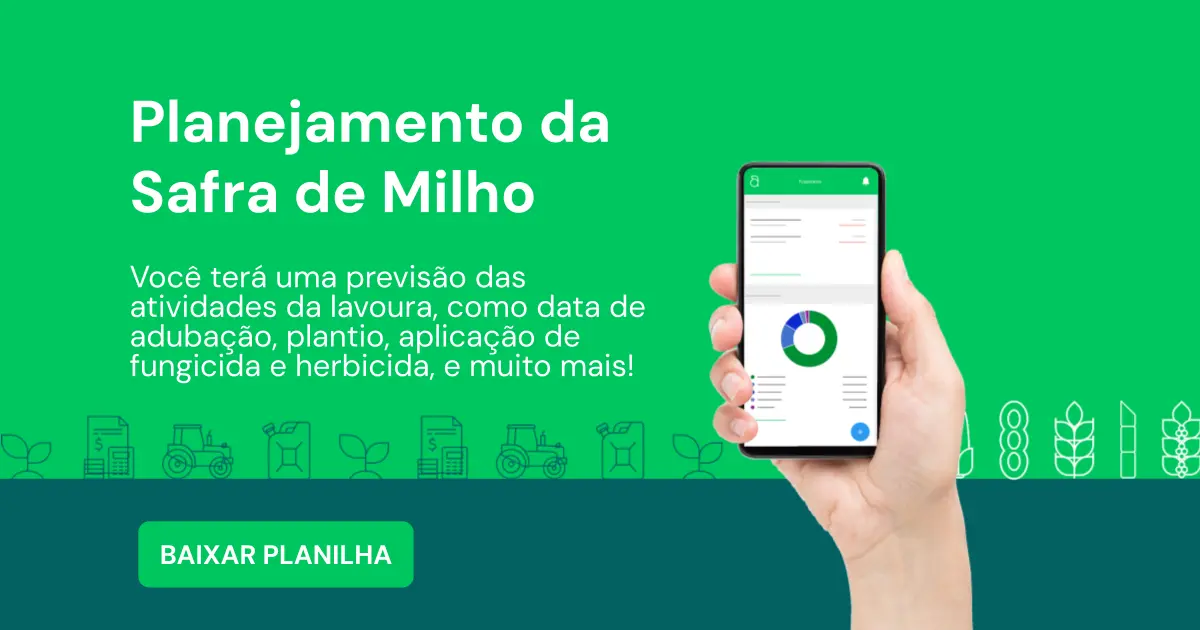 Planejamento da Safra de Milho