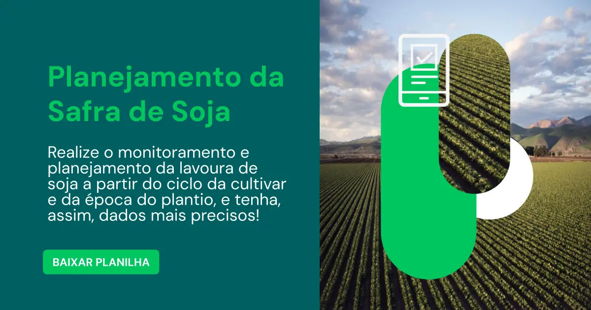 Planejamento da Safra de Soja