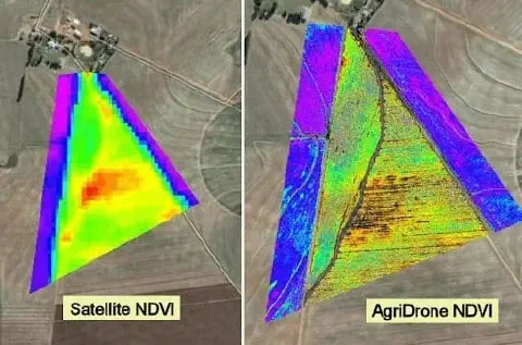 comparação visual direta entre dois tipos de mapas de Índice de Vegetação por Diferença Normalizada