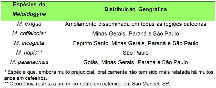 tabela informativa sobre as espécies do nematoide do gênero Meloidogyne que afetam cafeeiros e sua res