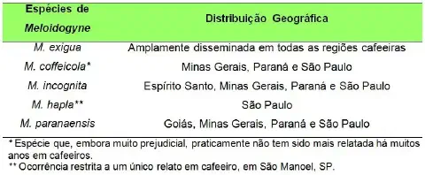 tabela informativa sobre as espécies do nematoide do gênero Meloidogyne que afetam cafeeiros e sua res