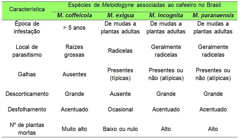 uma tabela comparativa que detalha as características de quatro espécies do nematoide Meloidogyne, conhecidos