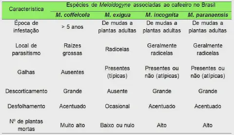 uma tabela comparativa que detalha as características de quatro espécies do nematoide Meloidogyne, conhecidos
