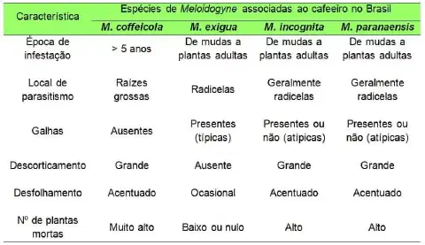 uma tabela comparativa que detalha as características de quatro espécies do nematoide Meloidogyne, conhecidos