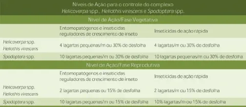 tabela informativa, em português brasileiro, que detalha os níveis de ação para o controle de um compl