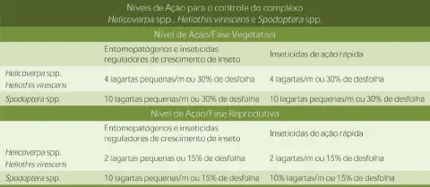 tabela informativa, em português brasileiro, que detalha os níveis de ação para o controle de um compl