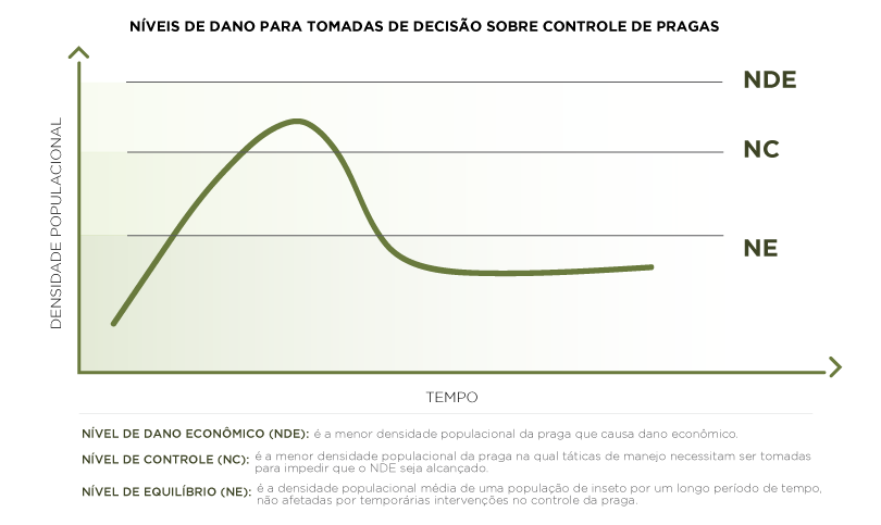 infográfico educativo que ilustra os conceitos de Níveis de Dano para a tomada de decisão no controle de pragas