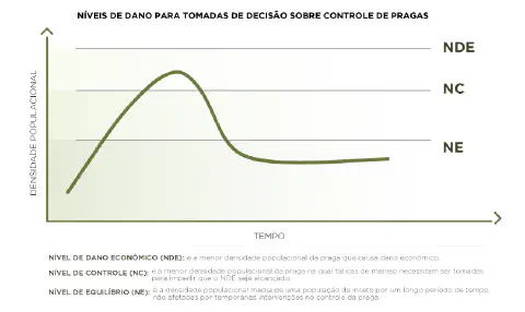 infográfico educativo que ilustra os conceitos de Níveis de Dano para a tomada de decisão no controle de pragas