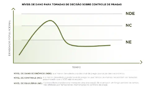 infográfico educativo que ilustra os conceitos de Níveis de Dano para a tomada de decisão no controle de pragas