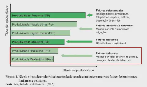Produtividade (t/ha) de lima ácida Tahiti em diferentes níveis de adensamento