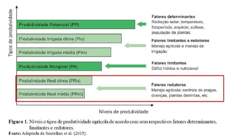 Produtividade (t/ha) de lima ácida Tahiti em diferentes níveis de adensamento