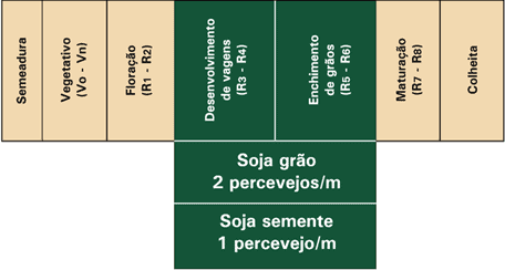 Este infográfico detalha os níveis de ação para o controle de percevejos na cultura da soja, correlacionando-os com os estági
