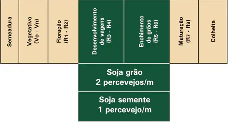 Nível de Ação para Controle de Percevejo na Soja Este infográfico detalha os níveis de ação para o controle de percevejos na cultura da soja, correlacionando-os com os estági
