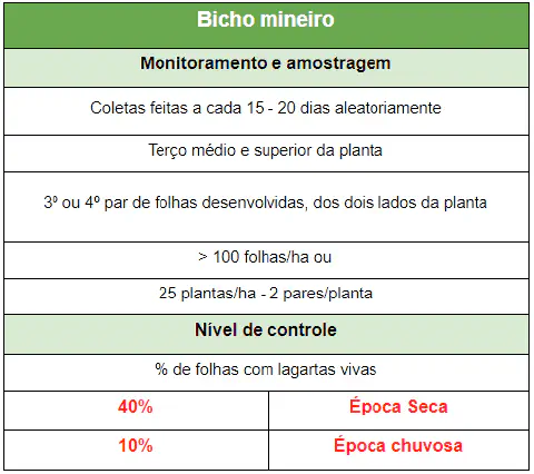 tabela informativa com diretrizes técnicas para o manejo do 'Bicho Mineiro', uma praga comum na agricu
