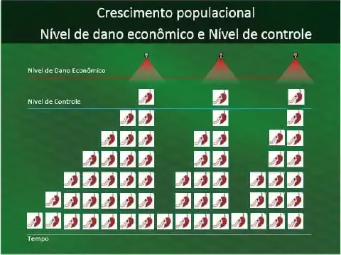infográfico que ilustra o conceito de crescimento populacional de pragas na agricultura e os momentos ideais pa