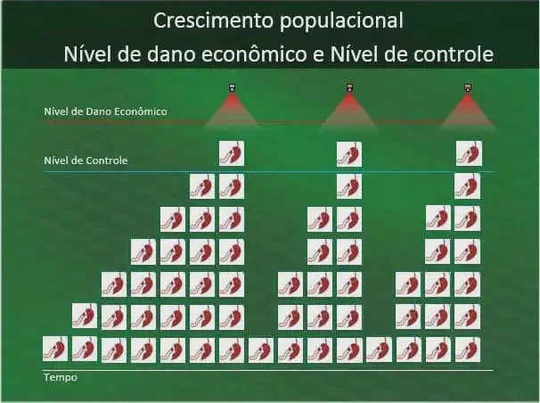 Nível de Controle e Dano Econômico em Pragas: Entenda infográfico que ilustra o conceito de crescimento populacional de pragas na agricultura e os momentos ideais pa