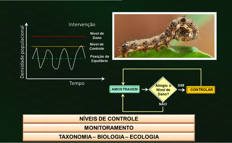 infográfico educacional sobre o Manejo Integrado de Pragas (MIP) na agricultura. No lado esquerdo, um gráfico e