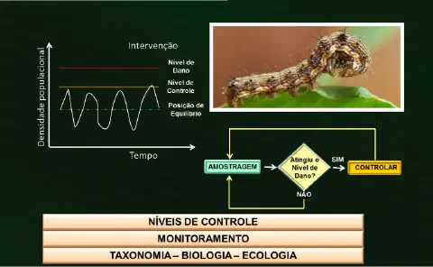 infográfico educacional sobre o Manejo Integrado de Pragas (MIP) na agricultura. No lado esquerdo, um gráfico e