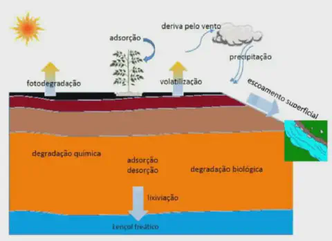 infográfico detalhado que ilustra o ciclo e o destino dos defensivos agrícolas no meio ambiente após su
