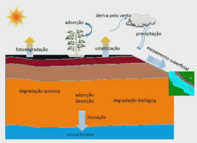 O Destino dos Defensivos Agrícolas no Meio Ambiente infográfico detalhado que ilustra o ciclo e o destino dos defensivos agrícolas no meio ambiente após su
