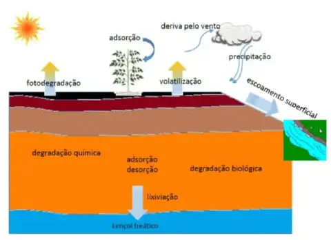 infográfico detalhado que ilustra o ciclo e o destino dos defensivos agrícolas no meio ambiente após su