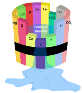 conceito agronômico da ‘Lei do Mínimo’, também conhecido como ‘Barril de Liebig’. Ela mostra um barril de