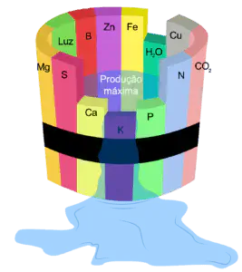 O que é a Lei do Mínimo de Liebig na Agricultura? conceito agronômico da 'Lei do Mínimo', também conhecido como 'Barril de Liebig'. Ela mostra um barril de