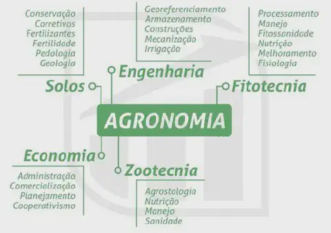 infográfico em formato de mapa mental que detalha as diversas áreas do conhecimento que compõem a Agron